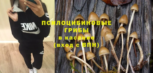 прущий лед Переславль-Залесский